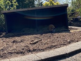 How Specialist Cleaning Services Improve Quality of Life in London